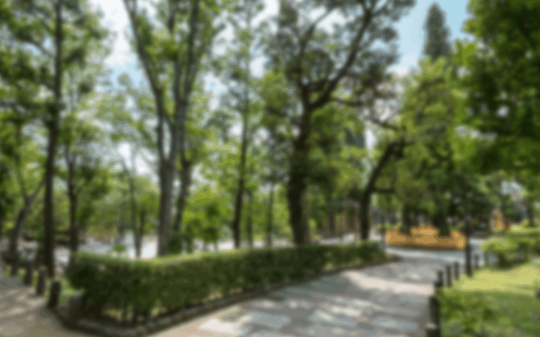 緑豊かな住み良い環境と、災害に強いまちをつくる