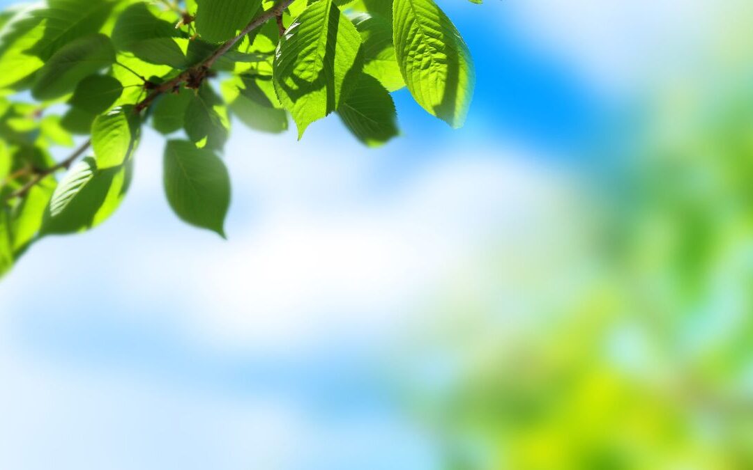 議会の『インターネット中継を求める』請願についてのご報告