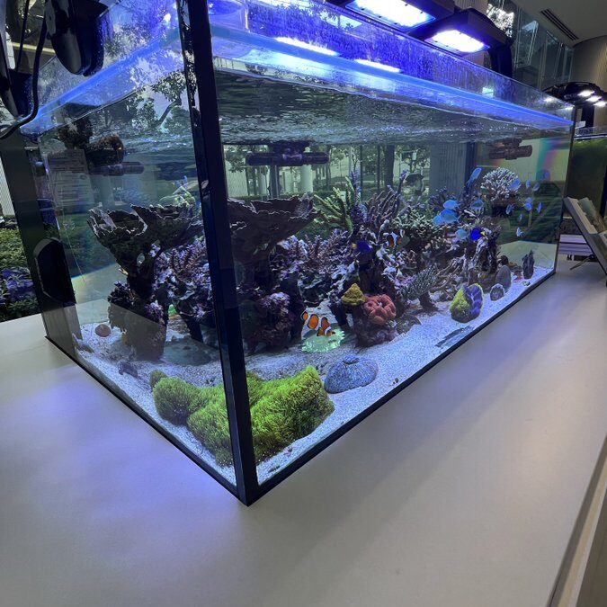 決算委員会の視察報告「中高生の居場所・アクアベース」